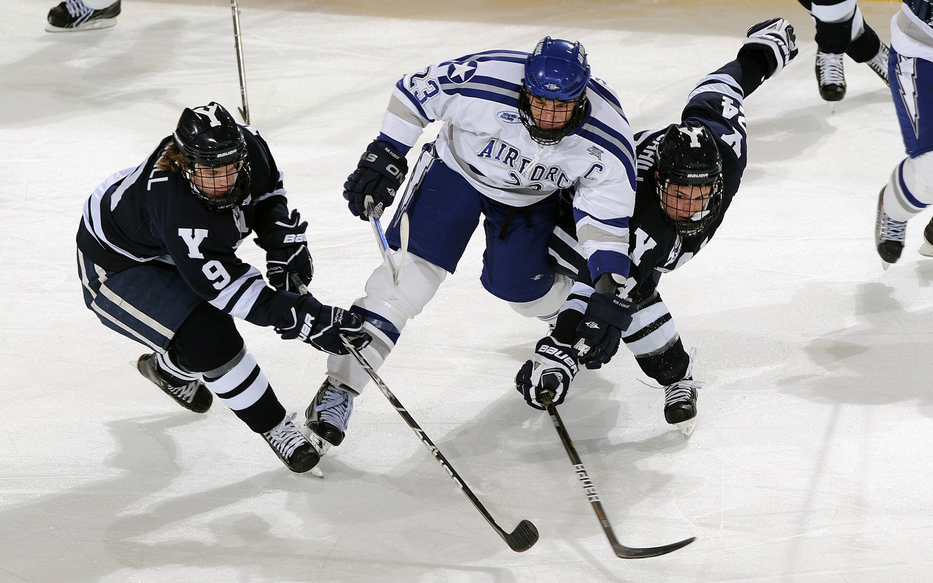 法国橄榄球的未来蓝图：阵容深度与战术创新双重发展，法国橄榄球运动员