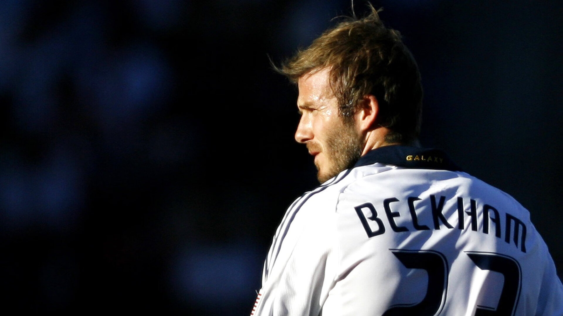 克罗地亚马术协会建立马匹基因数据库，促进马匹选育与训练。，克罗地亚 马可波罗