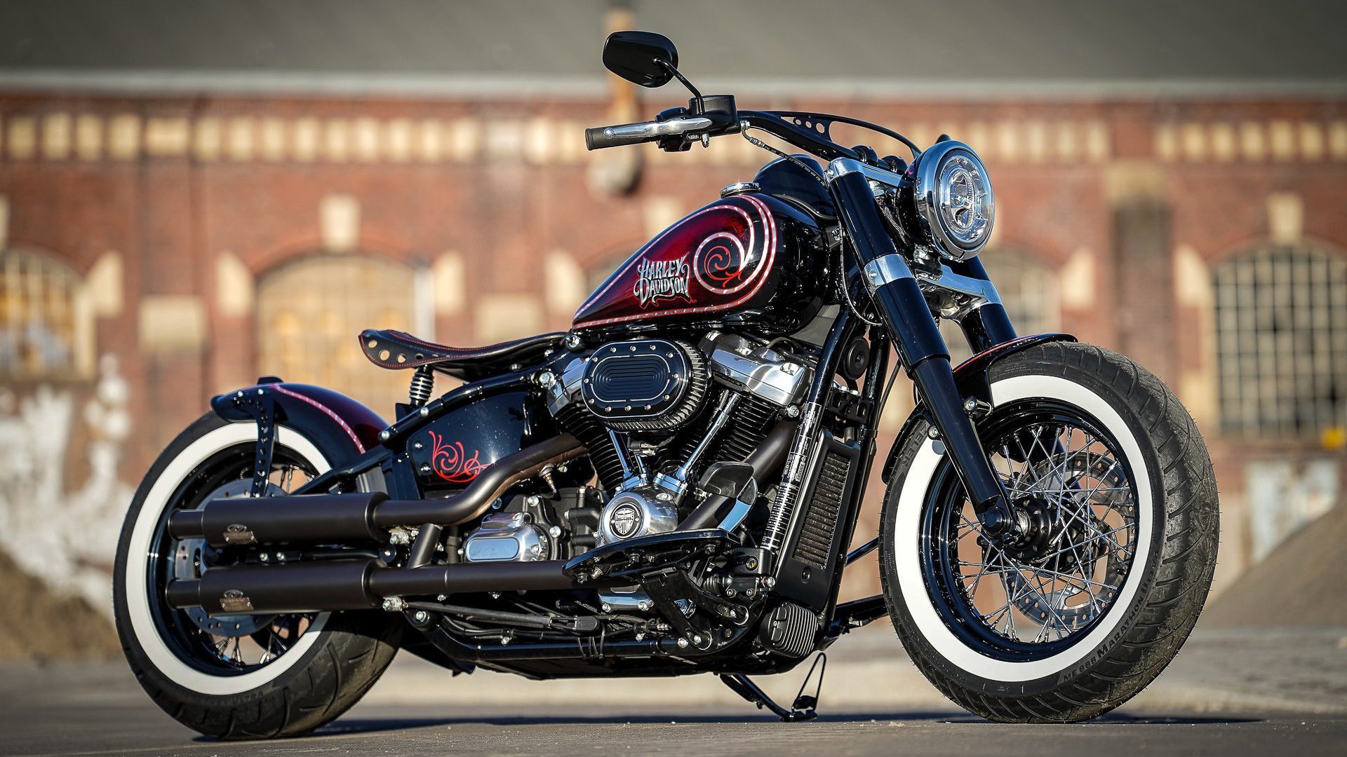 开云网页-摩洛哥马术协会与亚洲马术协会建立合作关系，推动区域发展。，摩洛哥种马